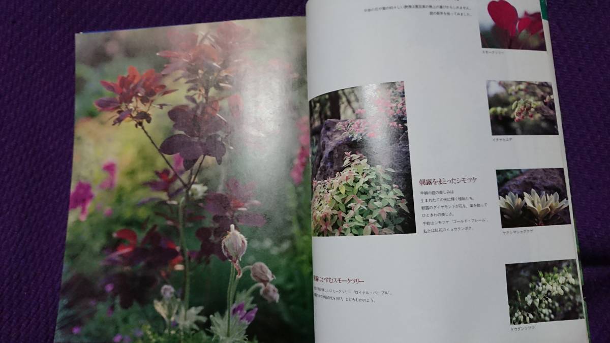  отдельный выпуск NHK хобби. садоводство контейнер * двор ... сезонные цветы дерево NHK выпускать 