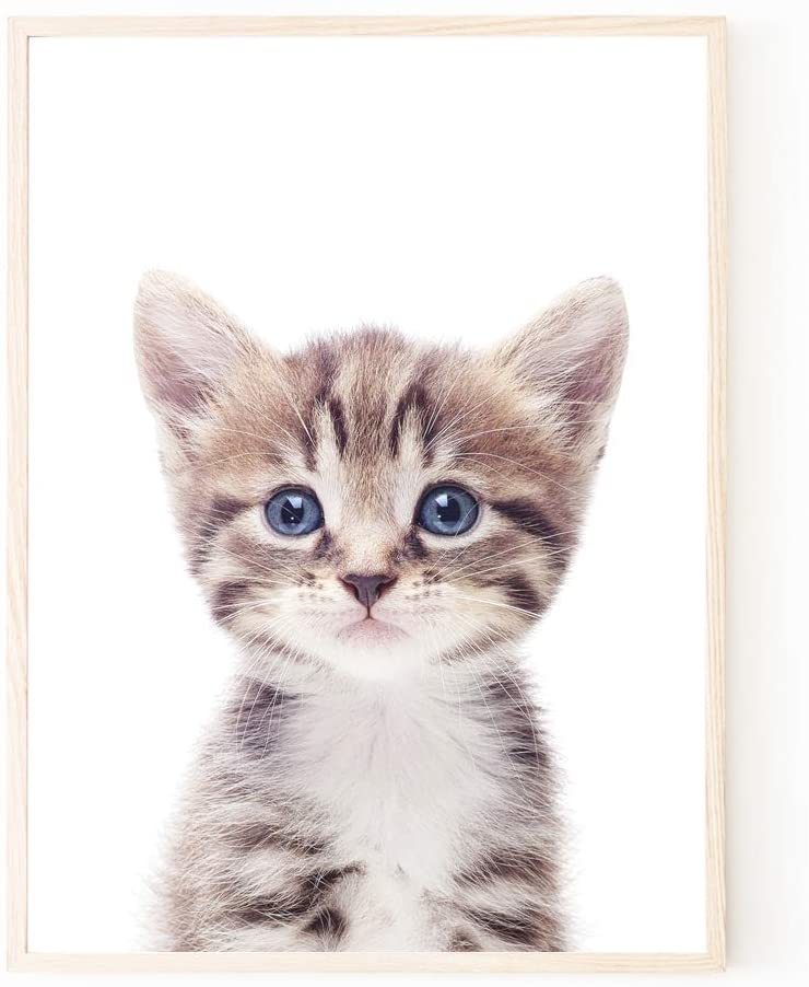 新品 額装付き A4サイズ アートポスター 猫 ネコ ねこ 猫の絵 額付き アートフレーム 絵画 インテリア 絵 アートパネル 現代アート_画像1
