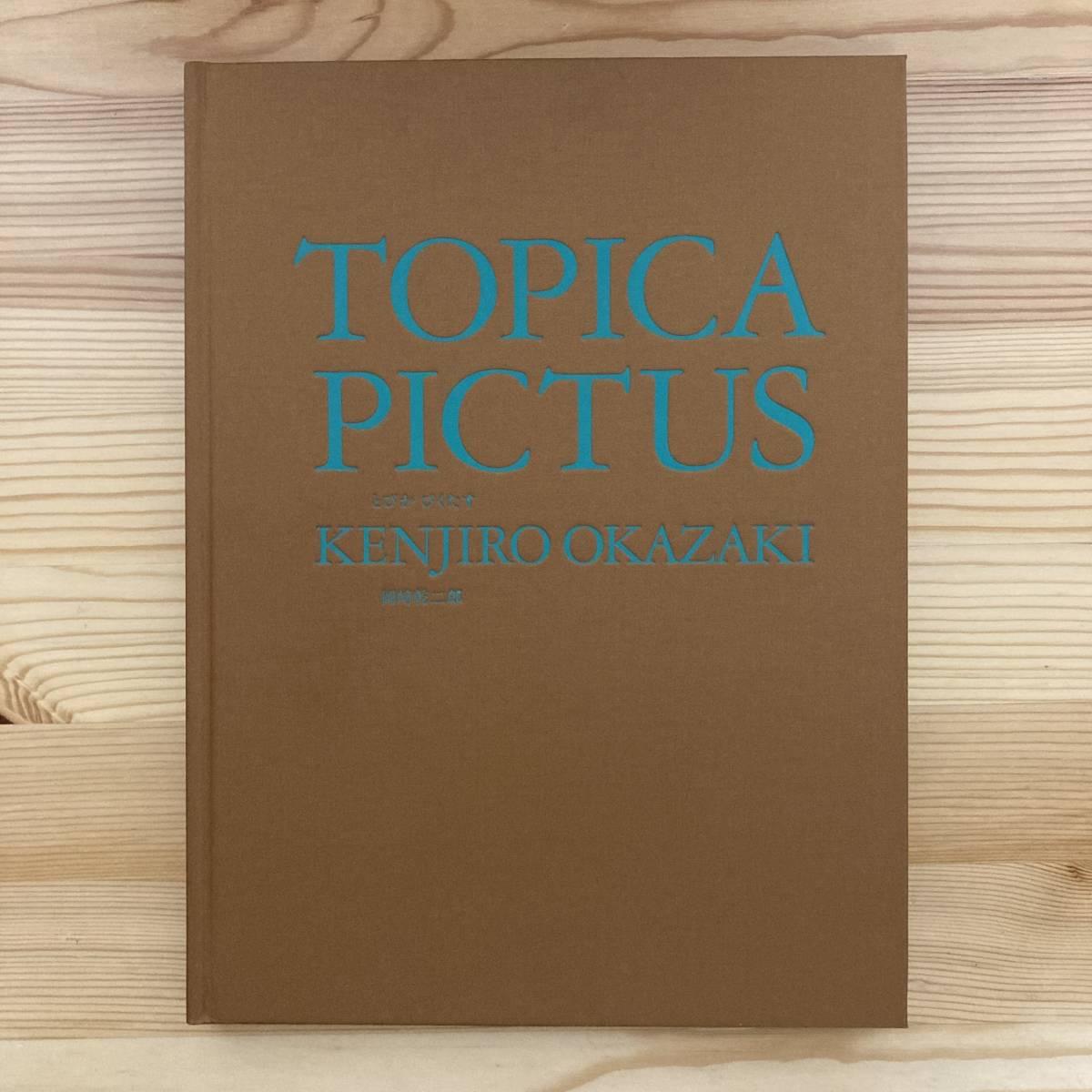 日本現代美術】TOPICA PICTUS とぴか ぴくたす / 岡崎乾二郎 日本現代美術】TOPICA PICTUS とぴか ぴくたす / 岡崎乾二郎