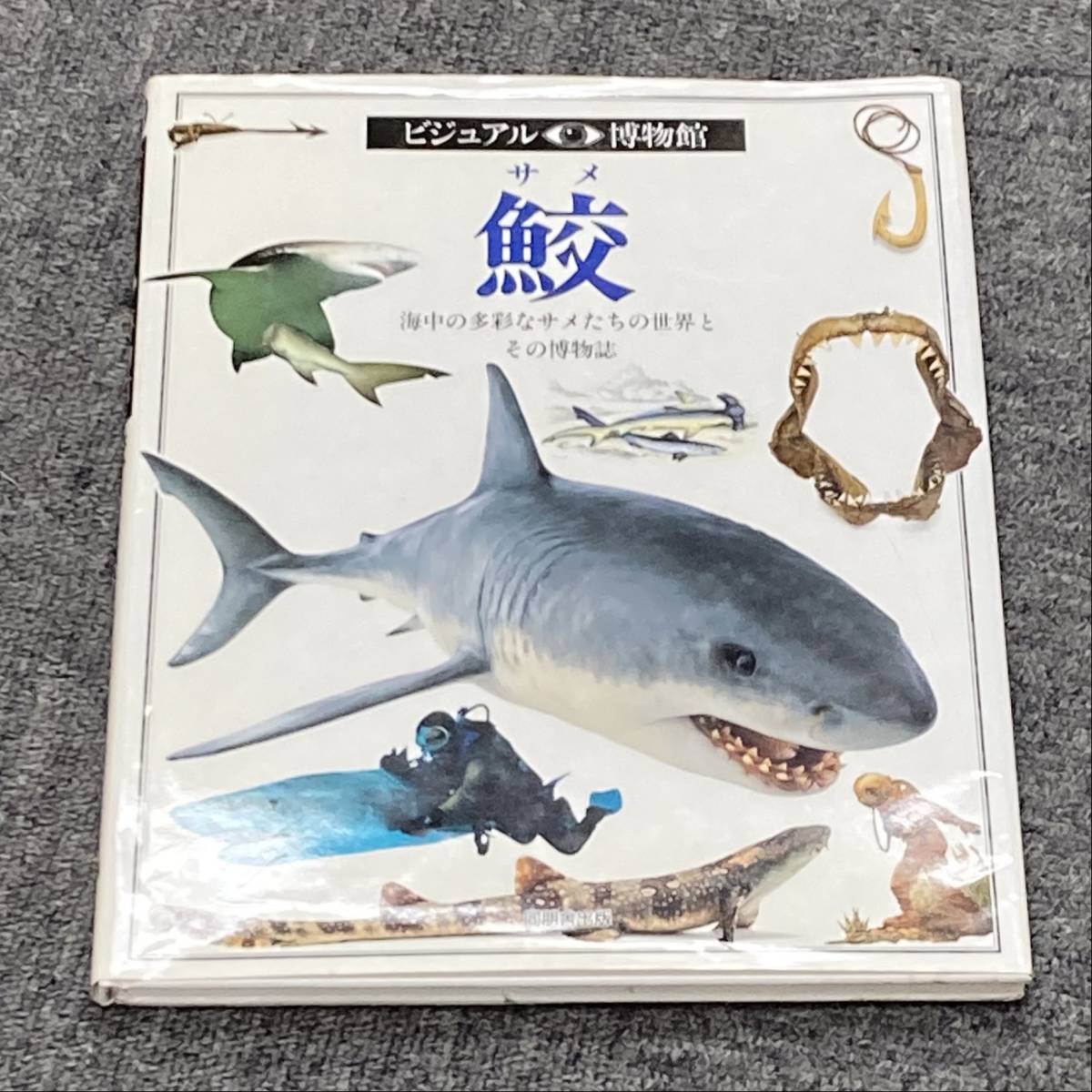 冬バーゲン☆】 「ビジュアル*博物館「鮫（サメ）海中の多彩なサメたち