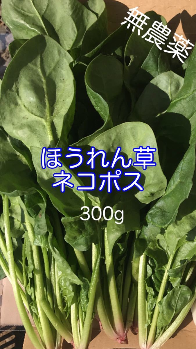 無農薬 ほうれん草 ネコポス 野菜｜PayPayフリマ