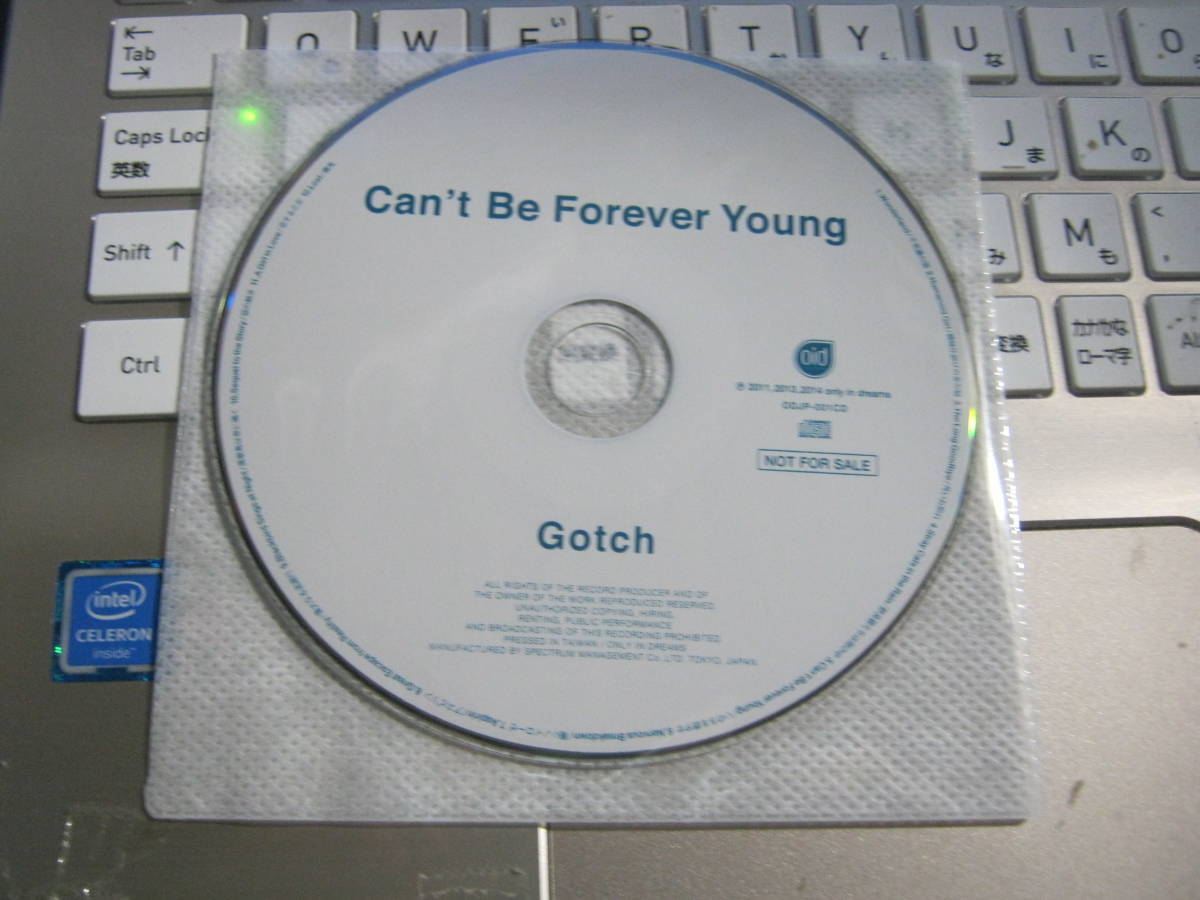 Gotch 後藤正文 / Can't Be Forever Young 限定2LP+CD 直筆サイン入り ASIAN KUNG-FU GENERATION_画像7