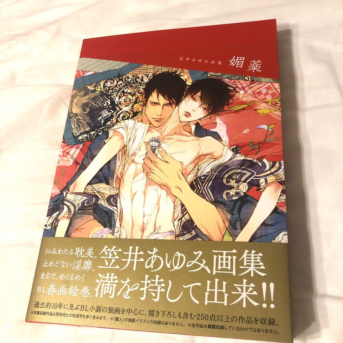 5年保証』 笠井あゆみ 媚薬 画集 イラスト集 サイン本 asakusa.sub.jp
