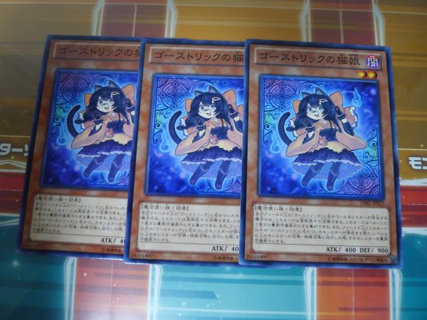 遊戯王　ゴーストリックの猫娘　ノーマル　3枚セット　　プレイ用　R031005_画像1