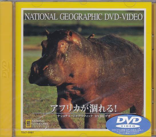 ★DVD アフリカが涸れる! 干ばつに見舞われたアフリカの大地 [ナショナル・ジオグラフィック]_画像1