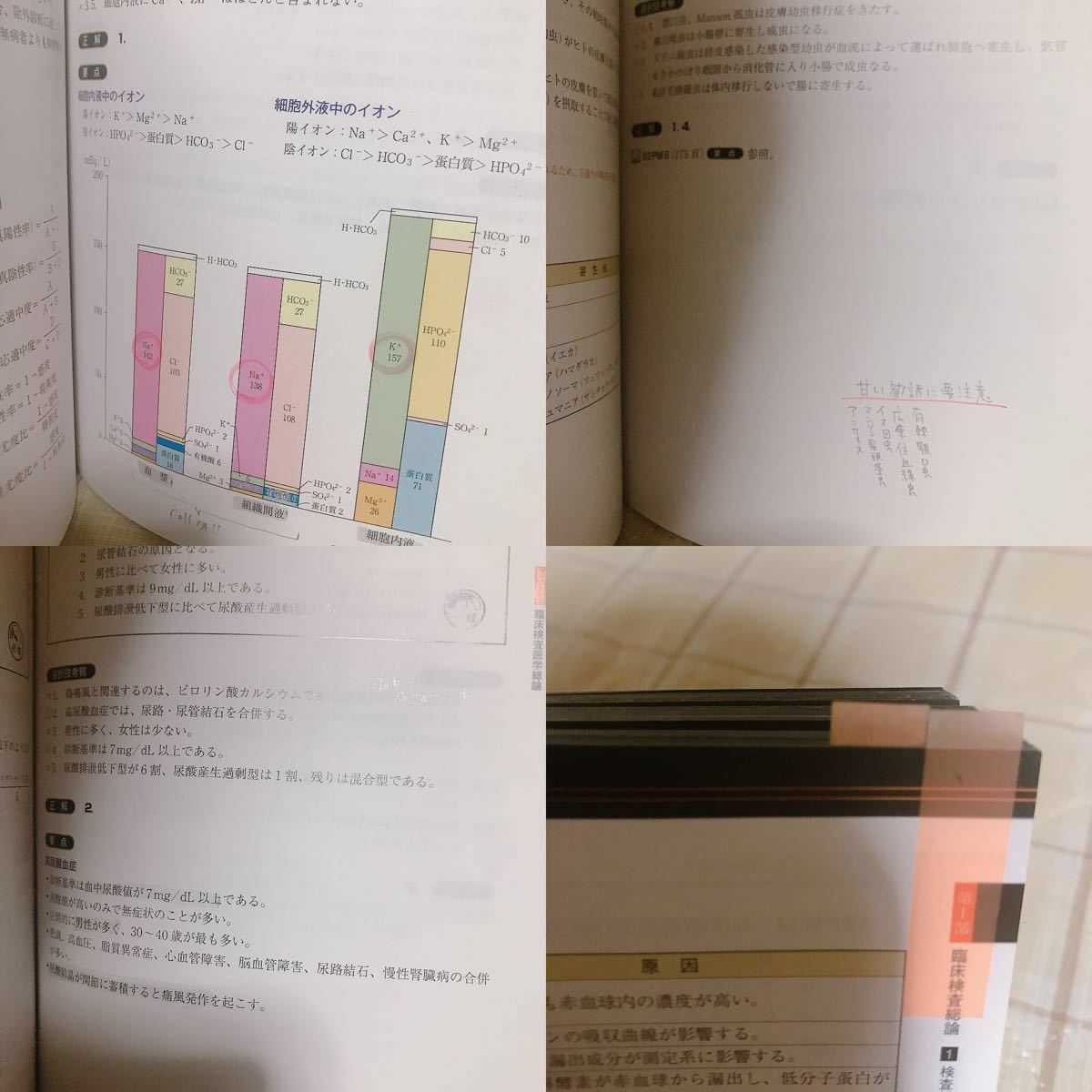 臨床検査技師国家試験解説集 Complete+MT 2021 Vol 1 臨床検査技師国家試験|Yahoo!フリマ(旧PayPayフリマ) 臨床検査技師国家試験解説集 Complete+MT 2021 Vol 1 臨床検査技師国家試験|Yahoo!フリマ(旧PayPayフリマ)