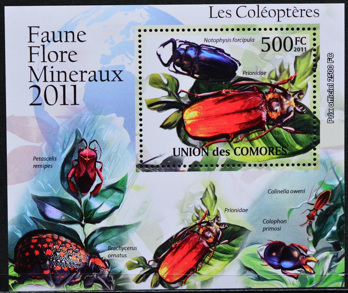 「TD117」コモロ諸島切手 2011年 昆虫の画像1