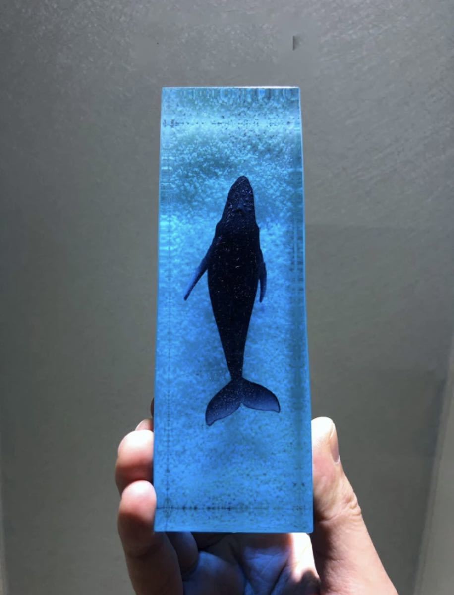 全2種類 要1種類選択 手作り クジラ 鯨 ライト フィギュア インテリア 装飾 オーナメント オブジェ 置物 アート 海 樹脂 雑貨 小物 1245_画像6