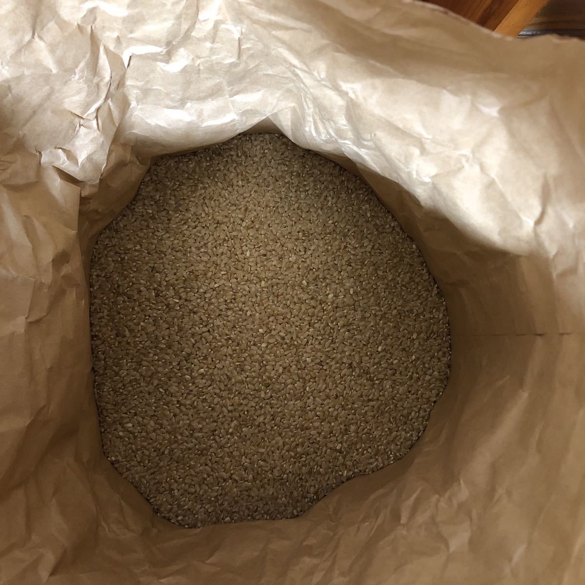 お米　玄米　１袋10kg ヒノヒカリＲ３年　 新米_画像2
