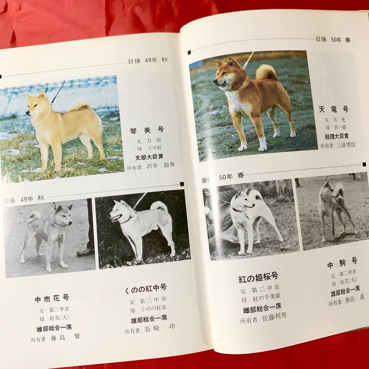 誠文堂新光社 愛犬の友編集部 犬種別シリーズ 柴犬 最新版 1980年11月25日 第3版 昭和レトロ 図鑑 事典 辞典