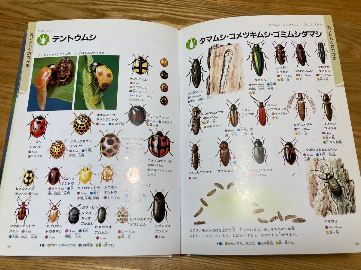 「学研の図鑑」昆虫　虫の仲間、飼い方、小学生の観察、研究