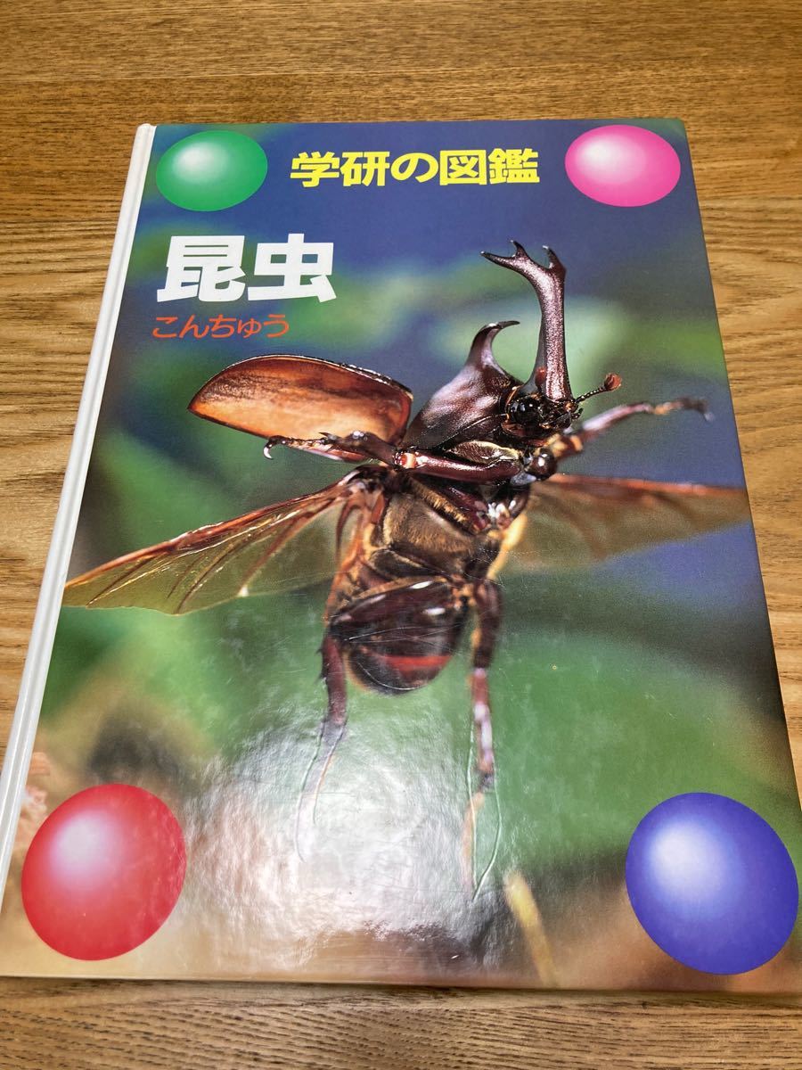 「学研の図鑑」昆虫　虫の仲間、飼い方、小学生の観察、研究