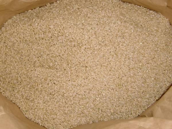 新米　コシヒカリ 玄米 ３０ｋｇ 令和3年産_玄米