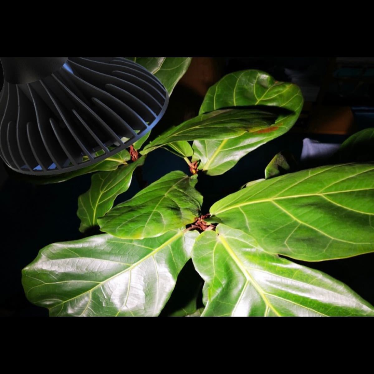 24w 植物水草育成ライト　COB LED PAR38 　2個