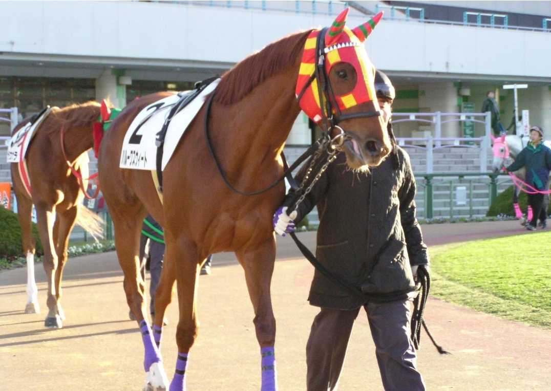 超貴重!名牝ハルーワスウィート 優勝ゼッケン シュヴァルグラン