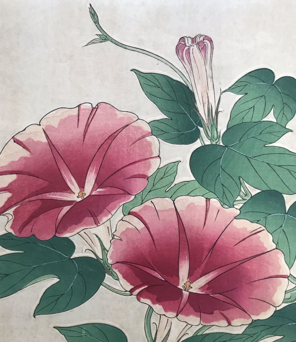 河原崎奨堂(清一)作 「朝顔」浮世絵 木版画 1951年(昭和26年) 新 河原崎奨堂(清一)作 「朝顔」浮世絵 木版画 1951年(昭和26年) 新