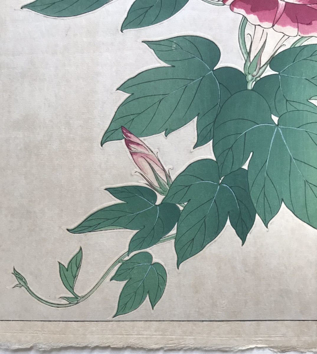 河原崎奨堂(清一)作 「朝顔」浮世絵 木版画 1951年(昭和26年) 新 河原崎奨堂(清一)作 「朝顔」浮世絵 木版画 1951年(昭和26年) 新