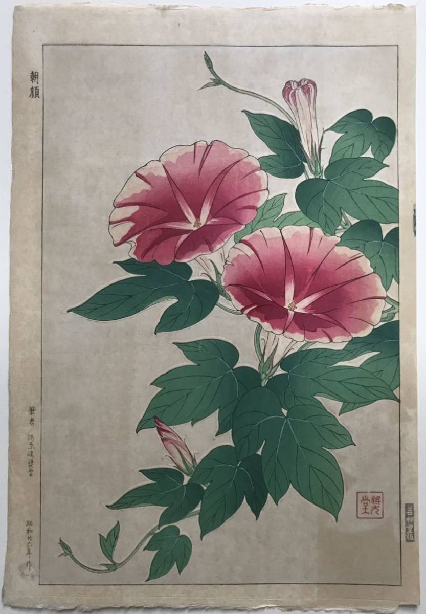 河原崎奨堂(清一)作 「朝顔」浮世絵 木版画 1951年(昭和26年) 新 河原崎奨堂(清一)作 「朝顔」浮世絵 木版画 1951年(昭和26年) 新