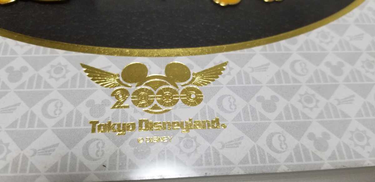  Disney Tokyo Disney Land millenium 2000 year memory amount entering pin badge set 