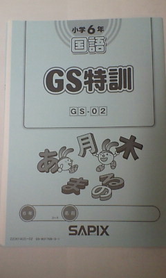 サピックス ＳＡＰＩＸ＊６年 小６＊国語＊ＧＳ特訓／全６回 完全版～解答用紙付＊２０２０年＊難関～ほぼ未使用・貴重_画像2