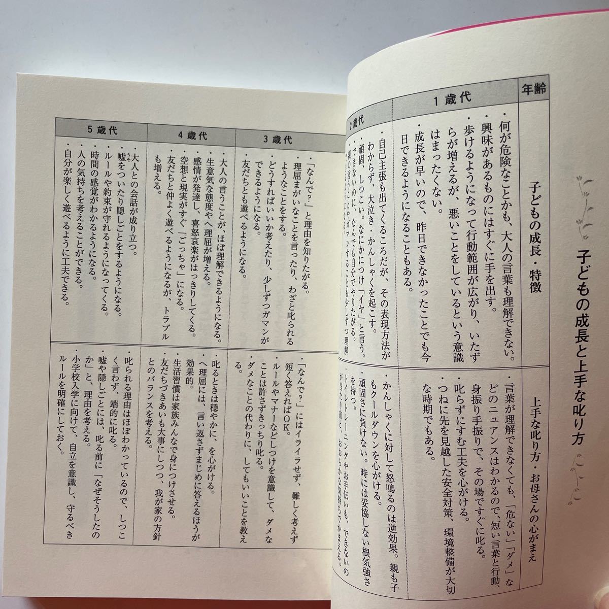 子どもの成長に合わせた叱り方 １〜５歳／無藤隆 (著者)