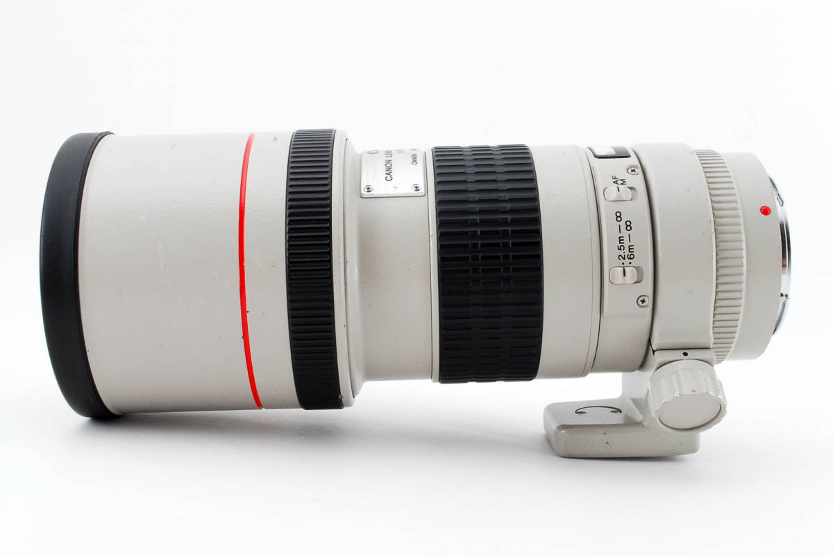 ◇極美品◇CANON キャノン EF 300mm F4 L USM 単焦点望遠レンズ ケース