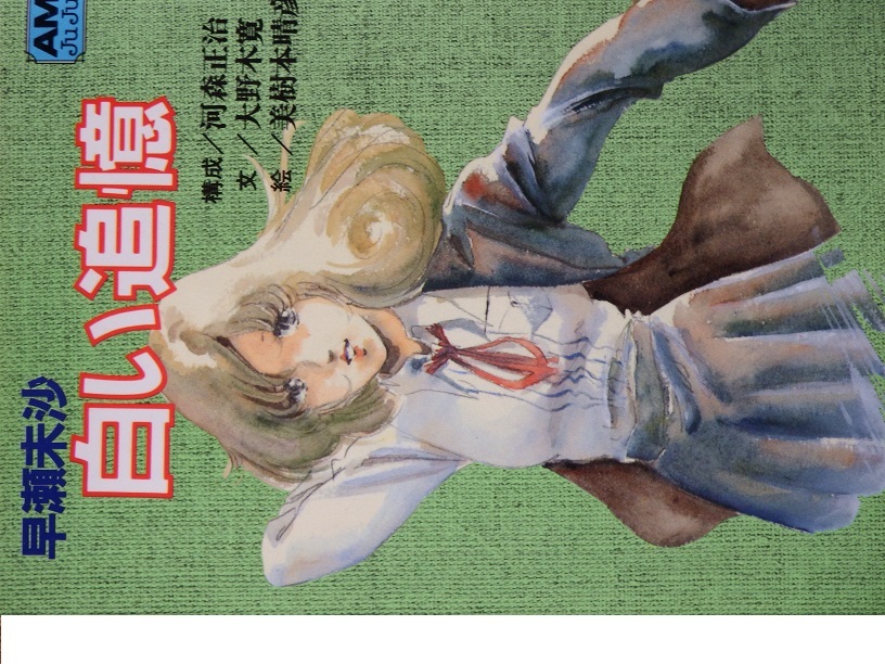 アニメージュ文庫絶版本 超時空要塞マクロス 早瀬未沙 白い追憶 初版 その他 売買されたオークション情報 Yahooの商品情報をアーカイブ公開 オークファン Aucfan Com