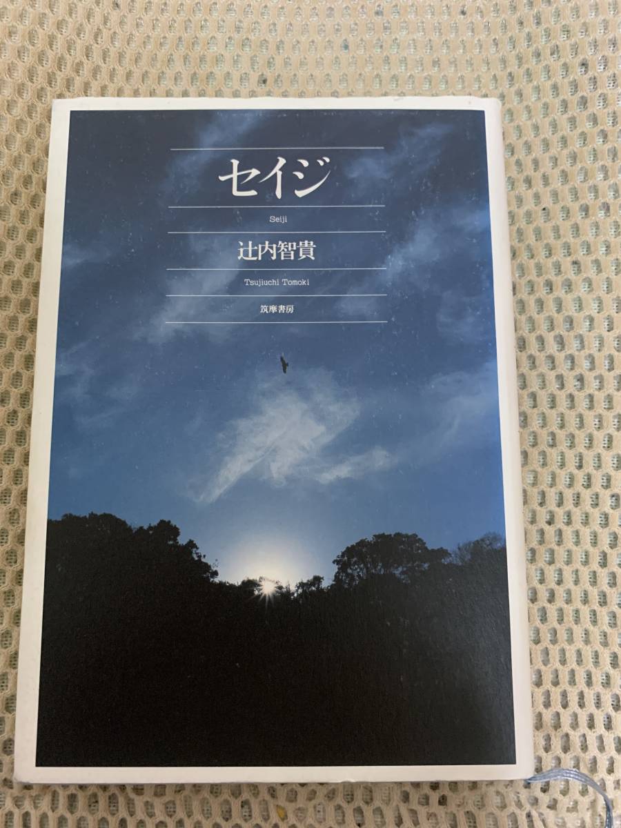 セイジ 辻内智貴