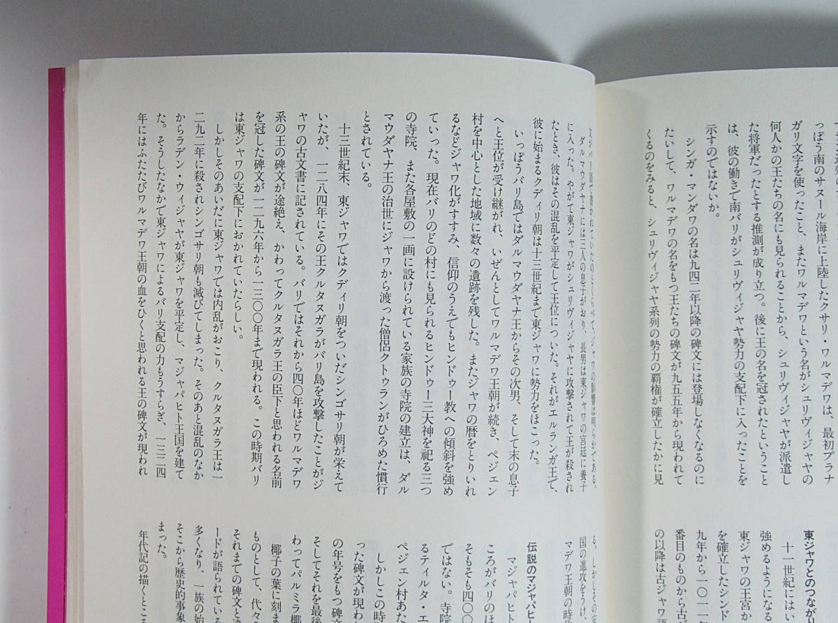 ■ＣREA Dｕｅ 楽園バリ 「１００の誘惑」 ■バリ島 極楽チャンプル ■バリ・華花の舞う島 クレアドゥエ クレアトラベラー 田尾 たんぼ _画像6