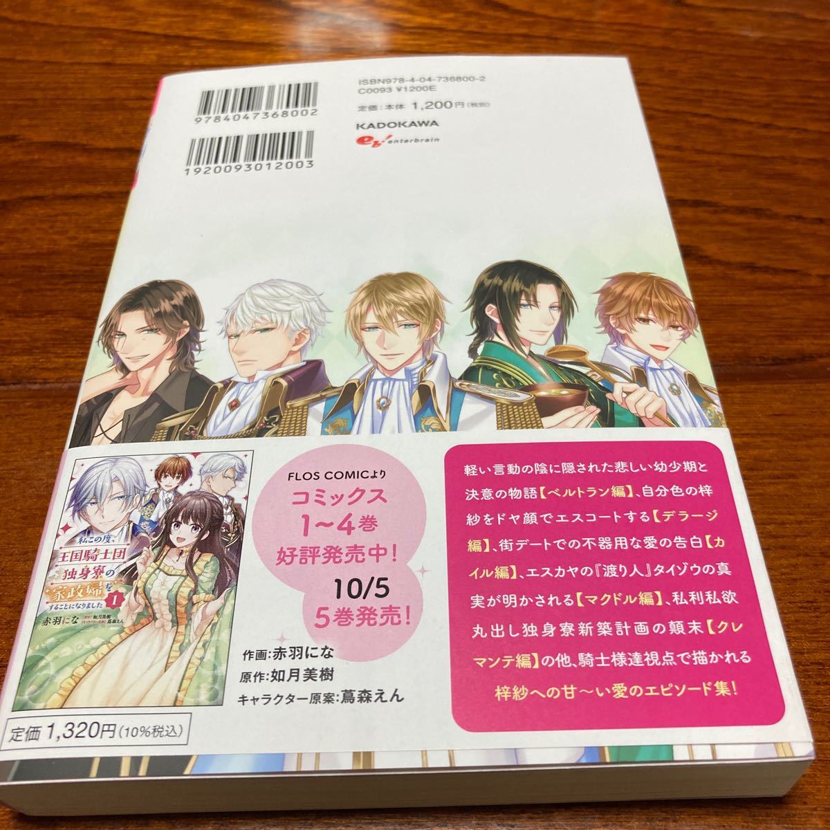 Paypayフリマ 私この度 王国騎士団独身寮の家政婦をすることになりました外伝 如月美樹 小説