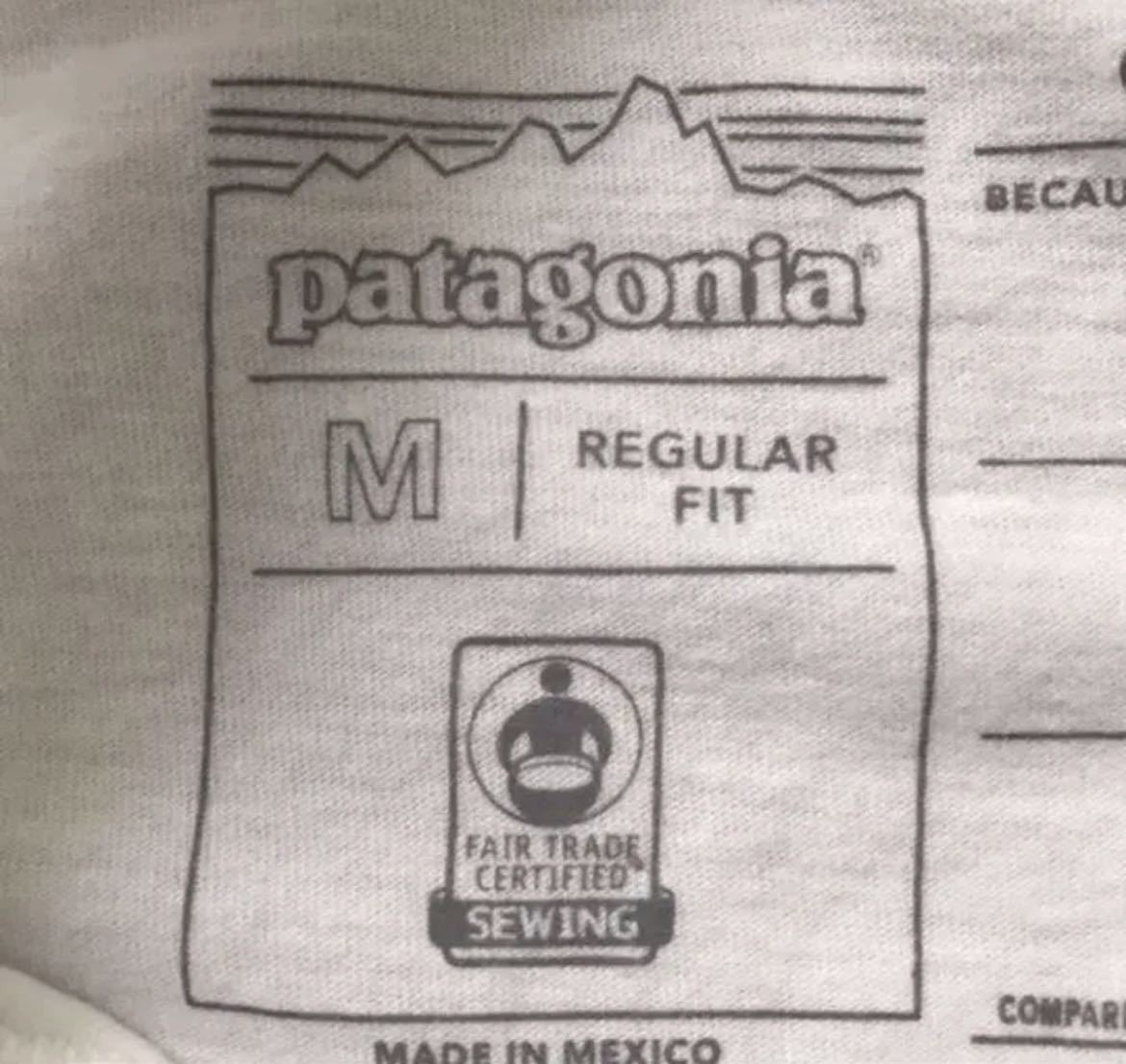パタゴニア patagonia 鎌倉限定Tシャツ Mサイズ 北斎ウェーブ パタゴニア patagonia 鎌倉限定Tシャツ Mサイズ 北斎ウェーブ