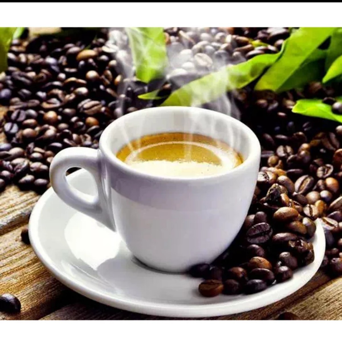 自家製コーヒー豆　100g 　エチオピア　コーヒー