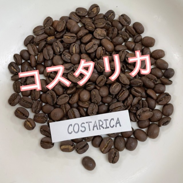 自家製コーヒー豆　100g 　コスタリカ　コーヒー