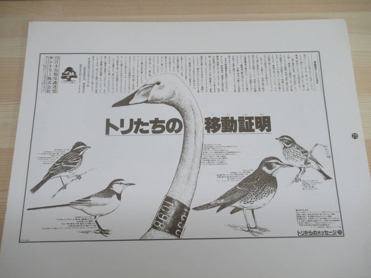 s04* 3 pcs. set summarize [ wild bird . we Suntory love bird campaign newspaper advertisement .. version ]. inside regular . Japan birds protection ream .211020