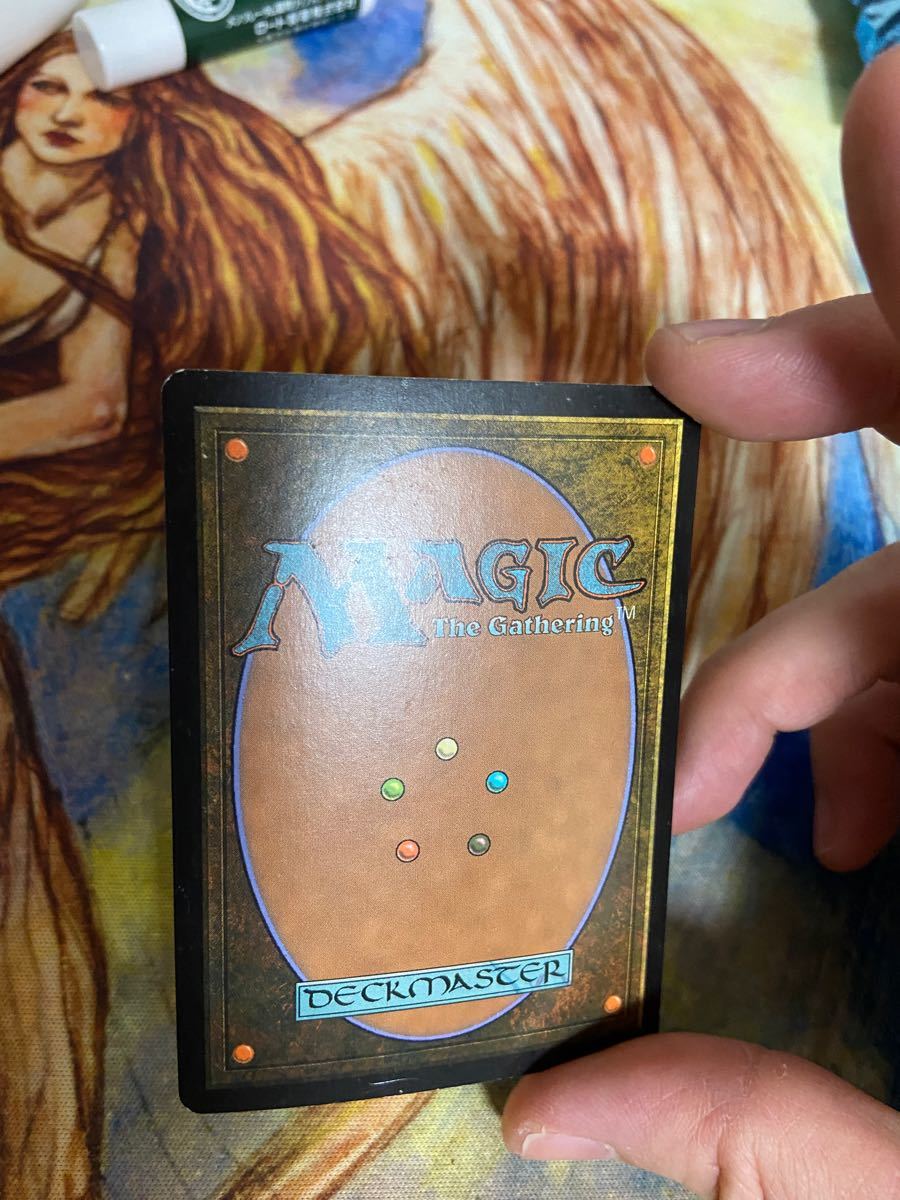 FOIL MTG タルモゴイフ 英語版 未来予知 | noonanwaste.com