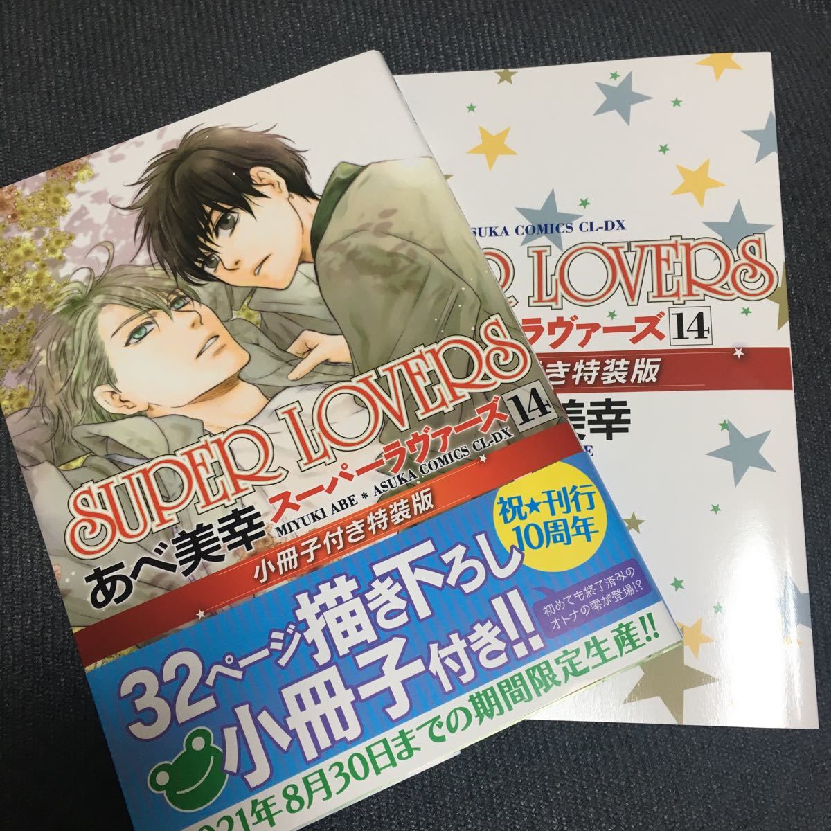 あべ美幸 SUPER LOVERS スーパーラヴァーズ14 小冊子付
