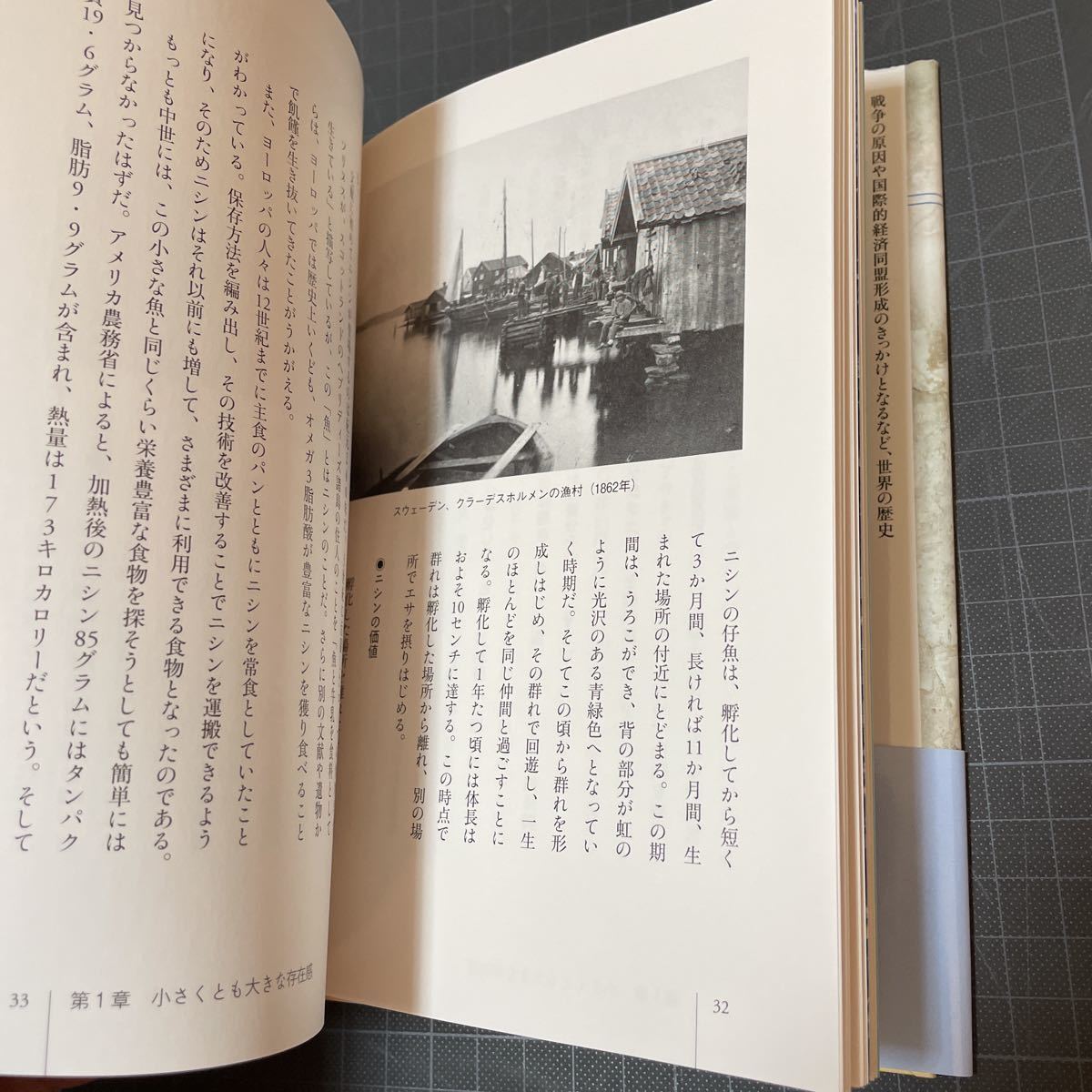 ◎ニシンの歴史 「食」の図書館　鰊_画像5