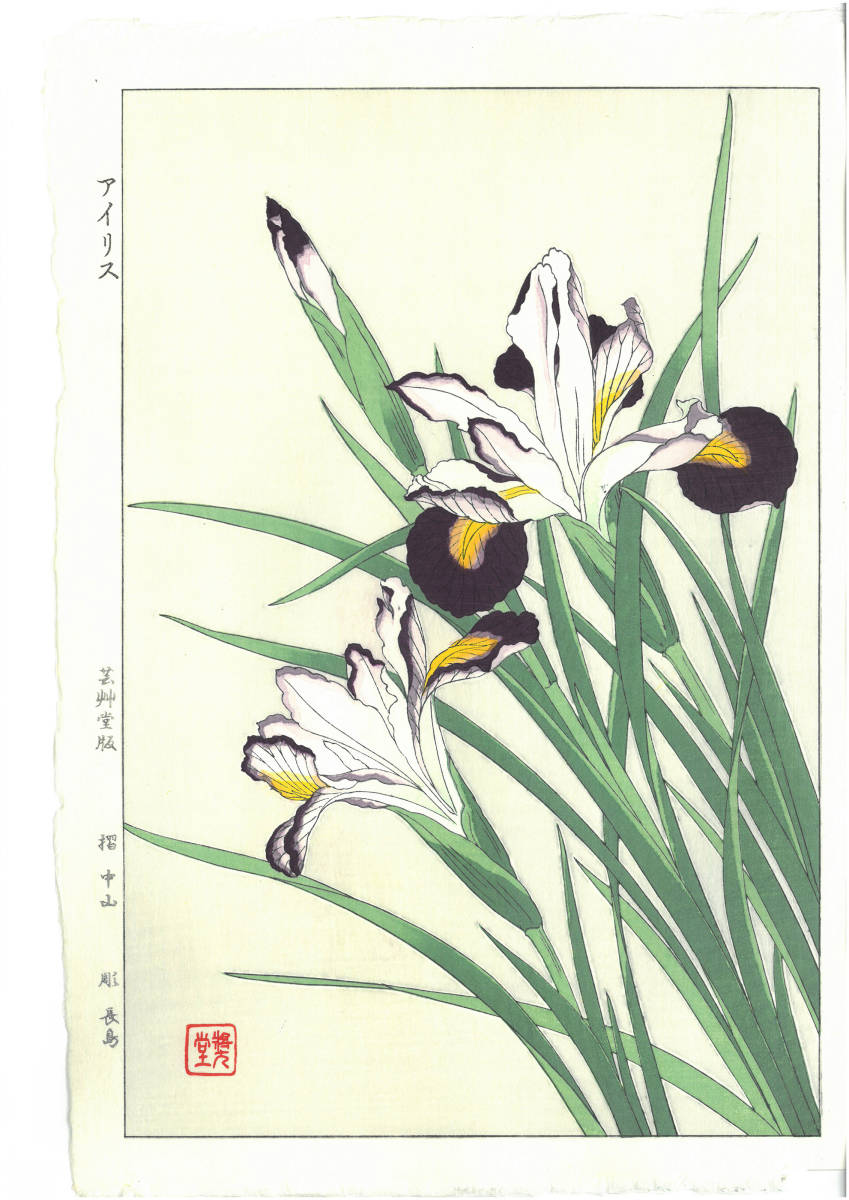河原崎奨堂 (Kawarazaki Shodo) (1899~1973) 木版画 F004 アイリス