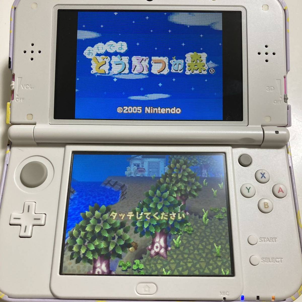 おいでよどうぶつの森 任天堂 Nintendo ニンテンドー DS ソフト カセット 初期動作確認済み_画像3