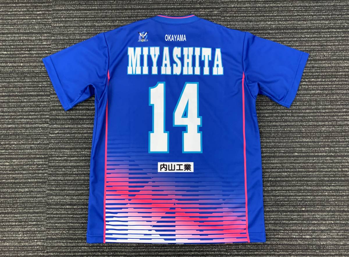2016-17 V・プレミアリーグ バレーボール 岡山シーガルズ #14 2016-17 V・プレミアリーグ バレーボール 岡山シーガルズ #14