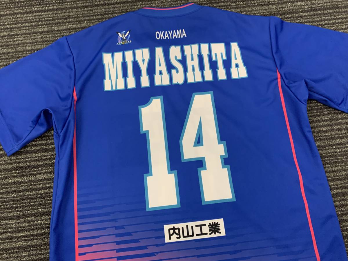 2016-17 V・プレミアリーグ バレーボール 岡山シーガルズ #14 2016-17 V・プレミアリーグ バレーボール 岡山シーガルズ #14
