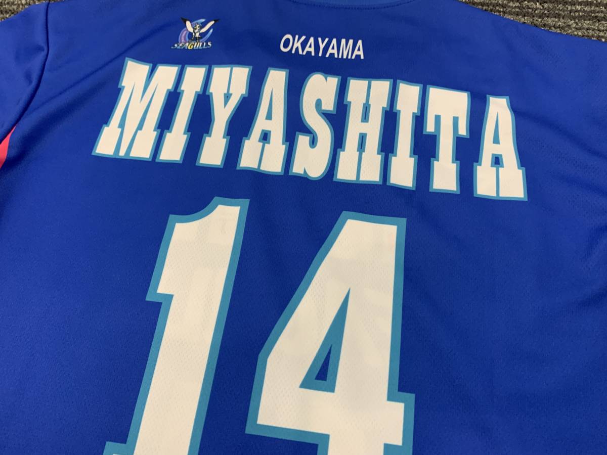2016-17 V・プレミアリーグ バレーボール 岡山シーガルズ #14 2016-17 V・プレミアリーグ バレーボール 岡山シーガルズ #14