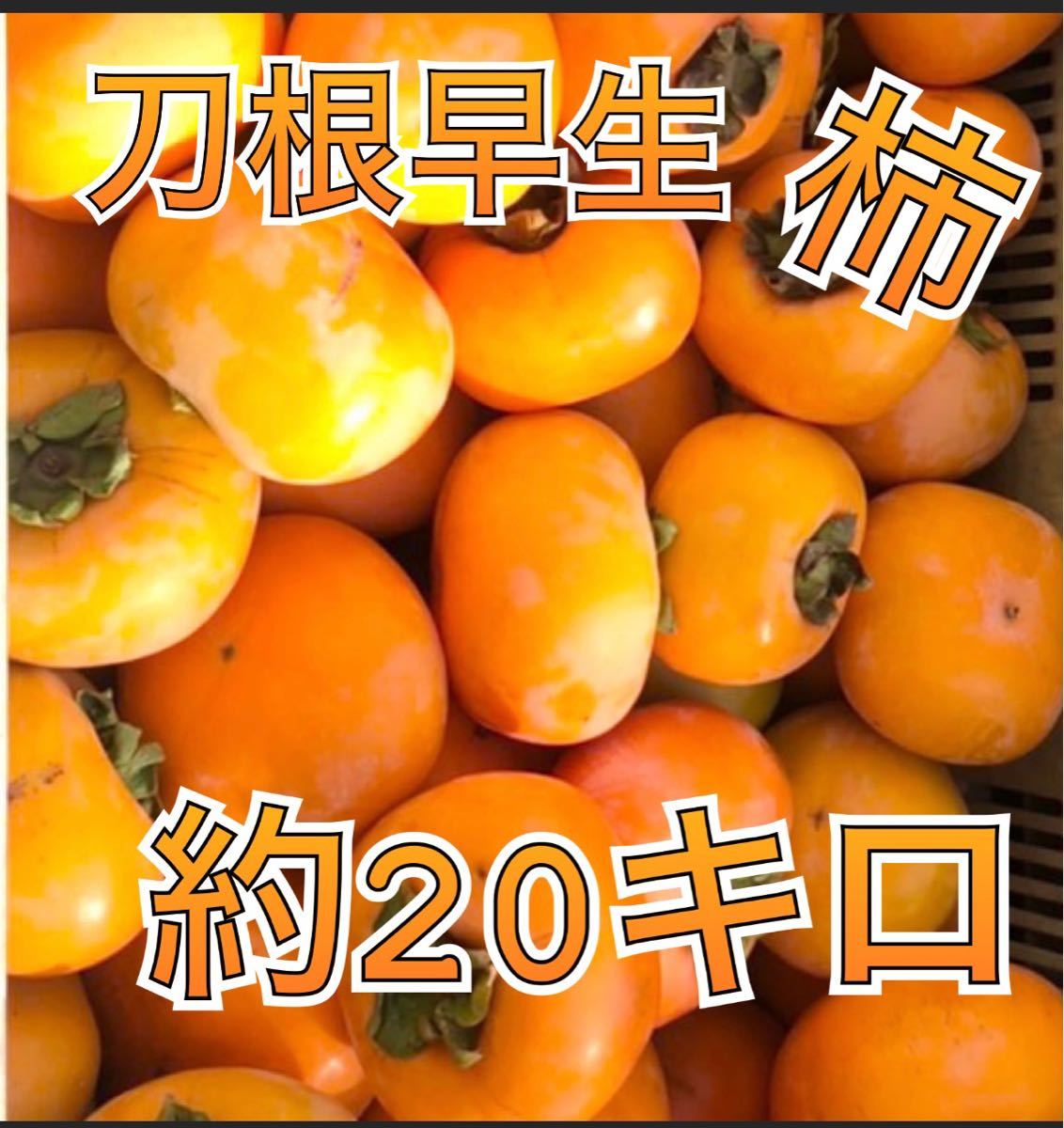 即日発送 20キロ以上 中谷早川生柿 タネナシで食べやすい｜PayPayフリマ