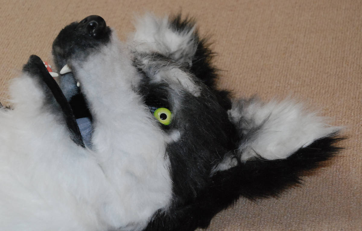 Husky/ husky dog / becomes .. animal moving mask!.. synchronizated . really move .[Husky/ husky dog ] new goods unused 