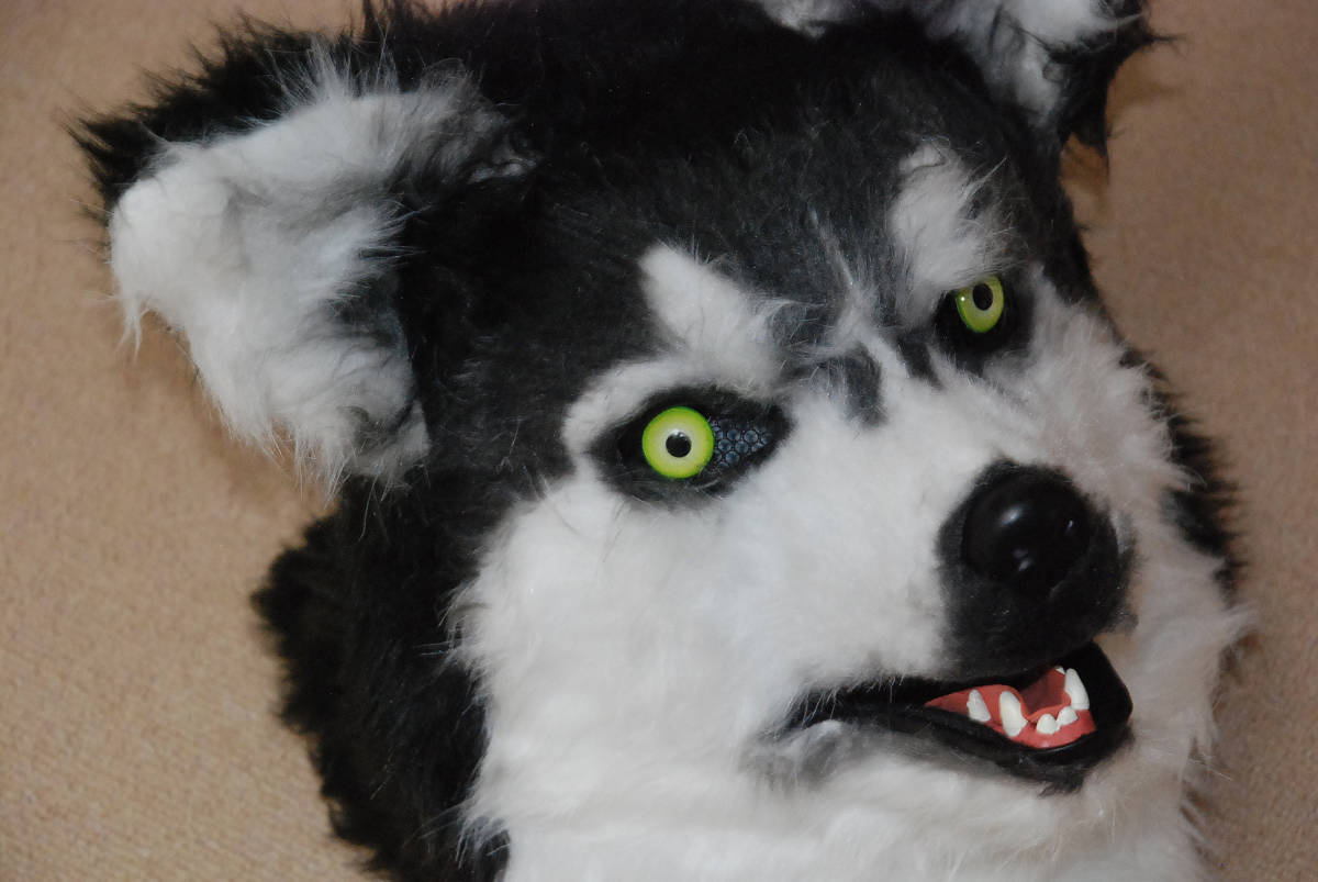 Husky/ husky dog / becomes .. animal moving mask!.. synchronizated . really move .[Husky/ husky dog ] new goods unused 