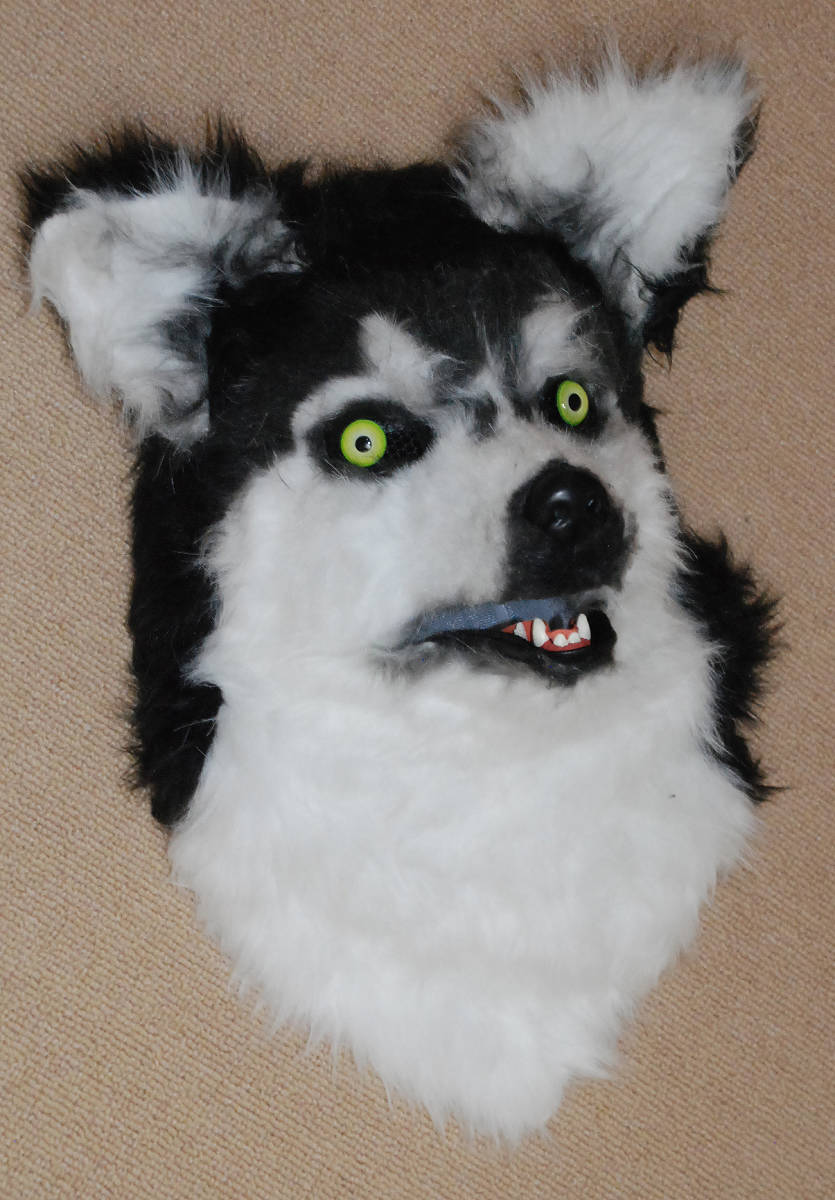 Husky/ husky dog / becomes .. animal moving mask!.. synchronizated . really move .[Husky/ husky dog ] new goods unused 