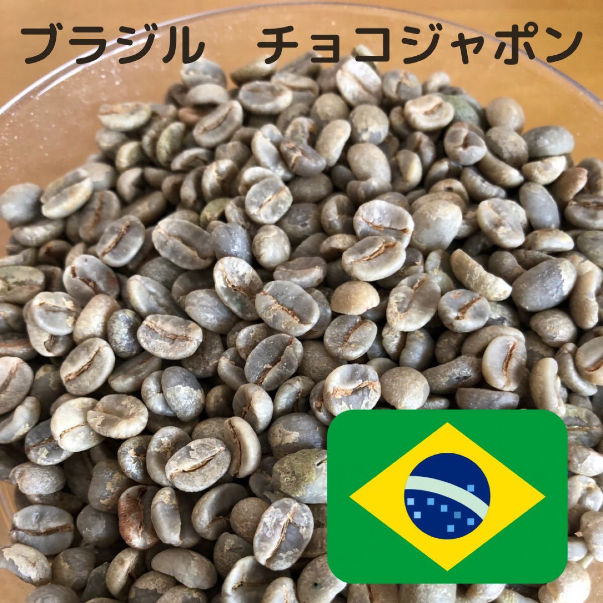 ブラジル　チョコジャポン　生豆　800g