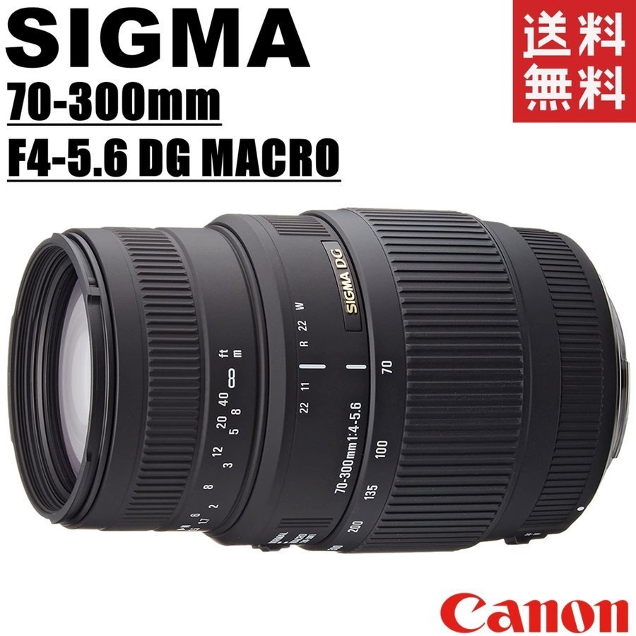 SIGMA 70-300mm F4-5.6 DG MACRO Canon用 - レンズ(ズーム)