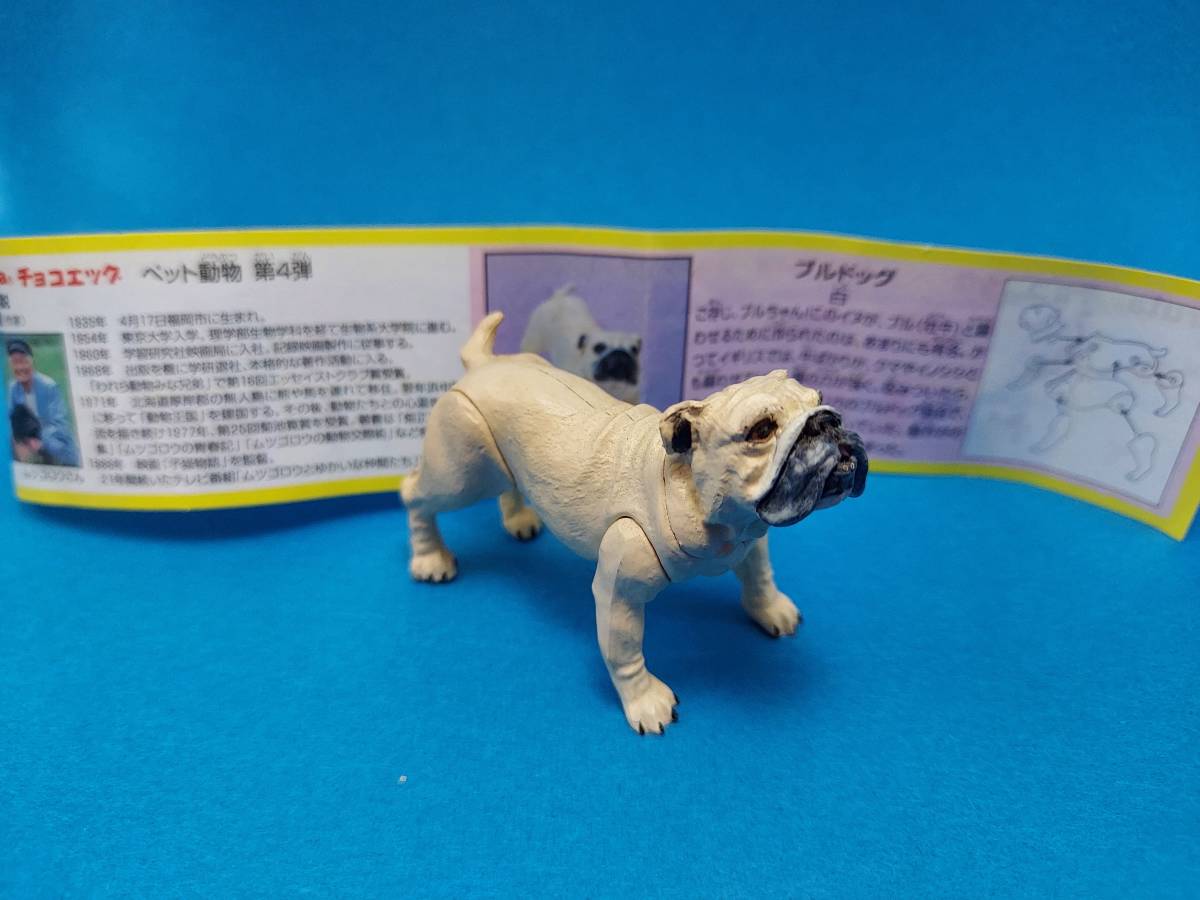 ★即決 当選品【 ブルドッグ 白】チョコエッグ ペット動物 第4弾/Furuta フィギュア 犬 イヌ★