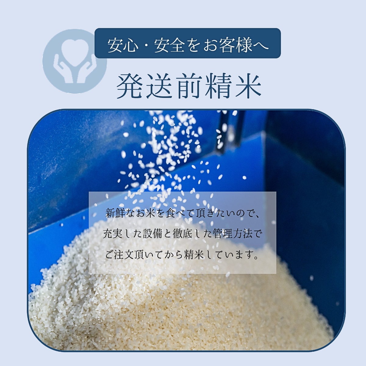米 お米 30kg 山形県産 雪若丸 10kg×3袋 送料無料 白米 玄米 一等米 新米 令和3年産_画像4